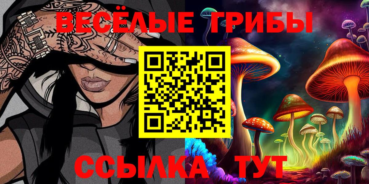 Псилоцибиновые грибы прущие грибы Семёнов