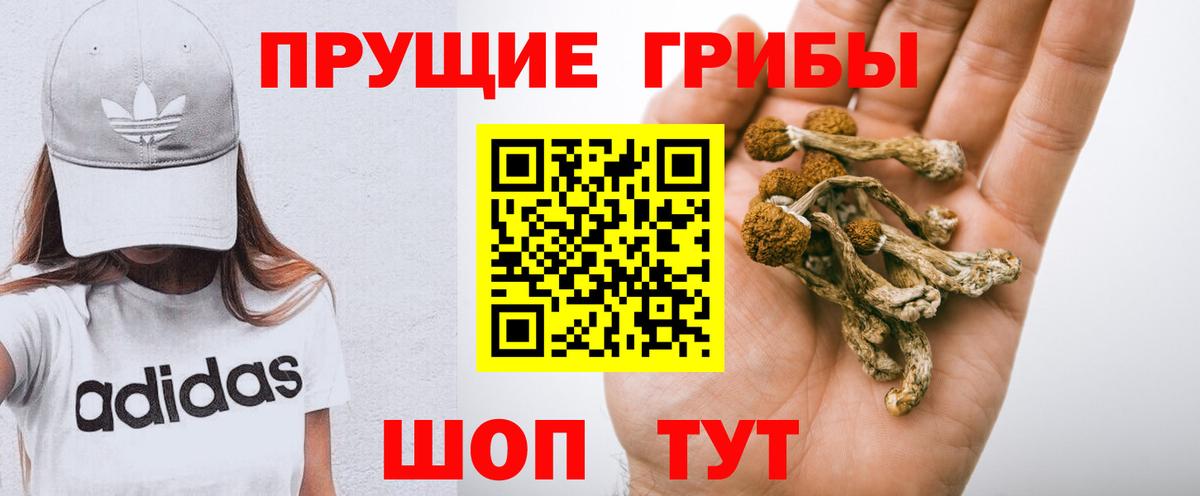 Семёнов  Псилоцибиновые грибы мухоморы  Галлюциногенные грибы прущие грибы  Вход с VPN 